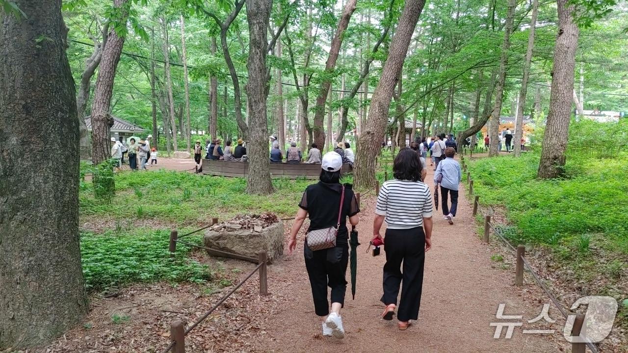 본문 이미지 - 폭염을 피해 충북 보은 속리산 세조길을 찾은 시민들이 거닐며 더위를 식히고 있다. 2026.7.11/뉴스1