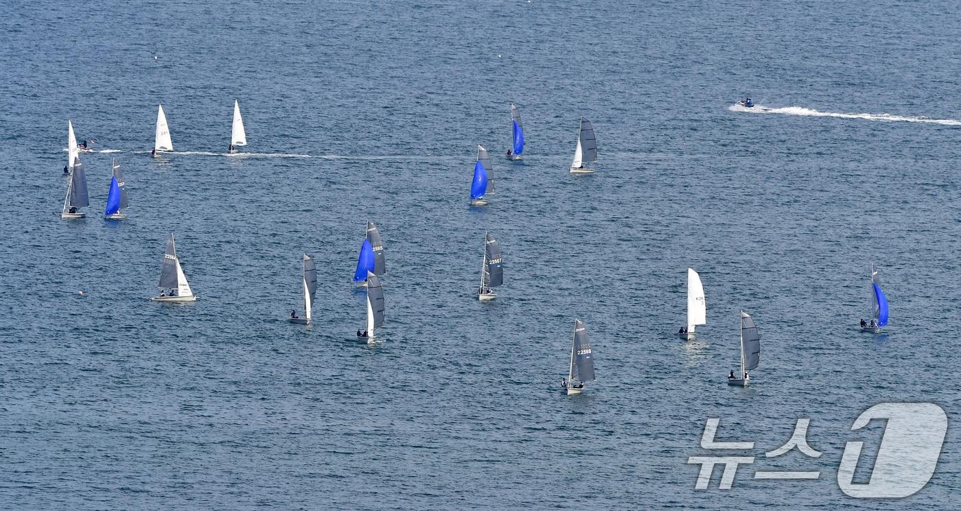 본문 이미지 - 11일 경북 포항시 북구 영일대해수욕장 앞 바다에서 '2026 포항시장배 세일링 챔피언십 경기'가 열리고 있다. 2026.7.11 ⓒ 뉴스1 최창호 기자