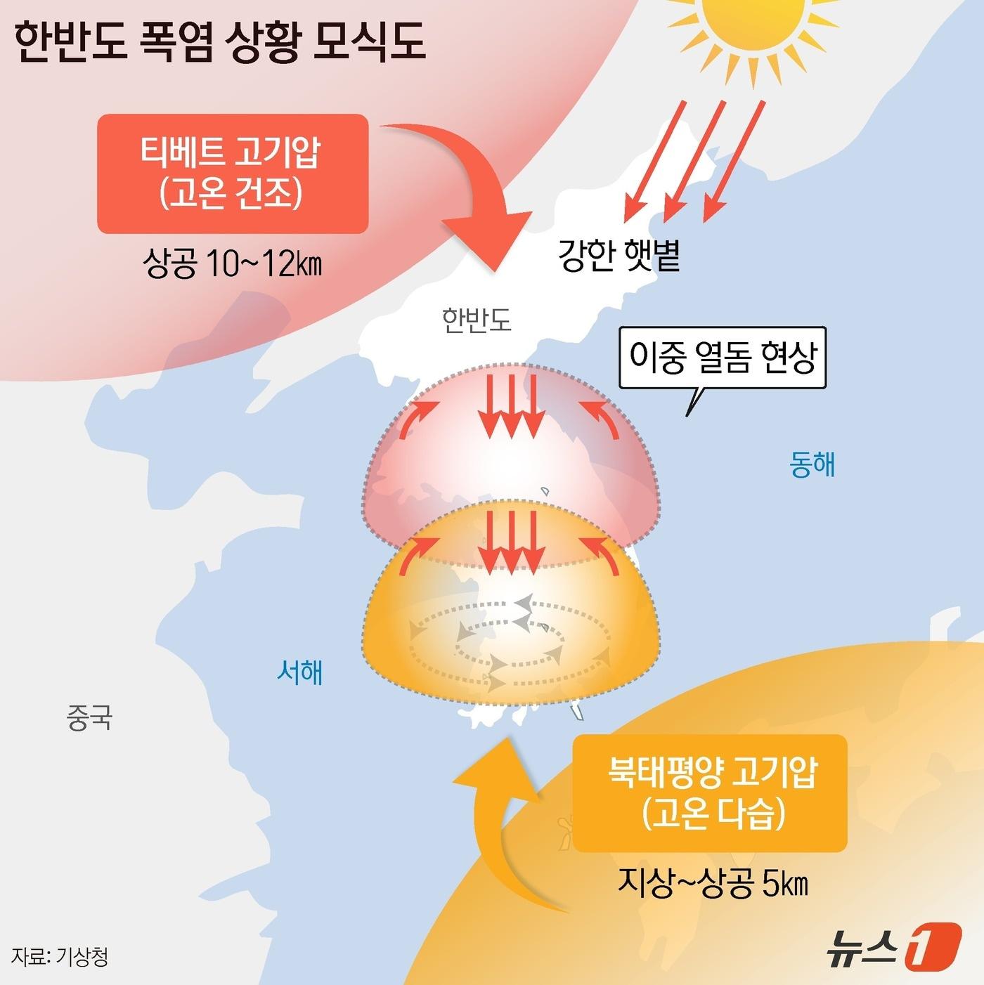 본문 이미지 - ⓒ 뉴스1 윤주희 디자이너