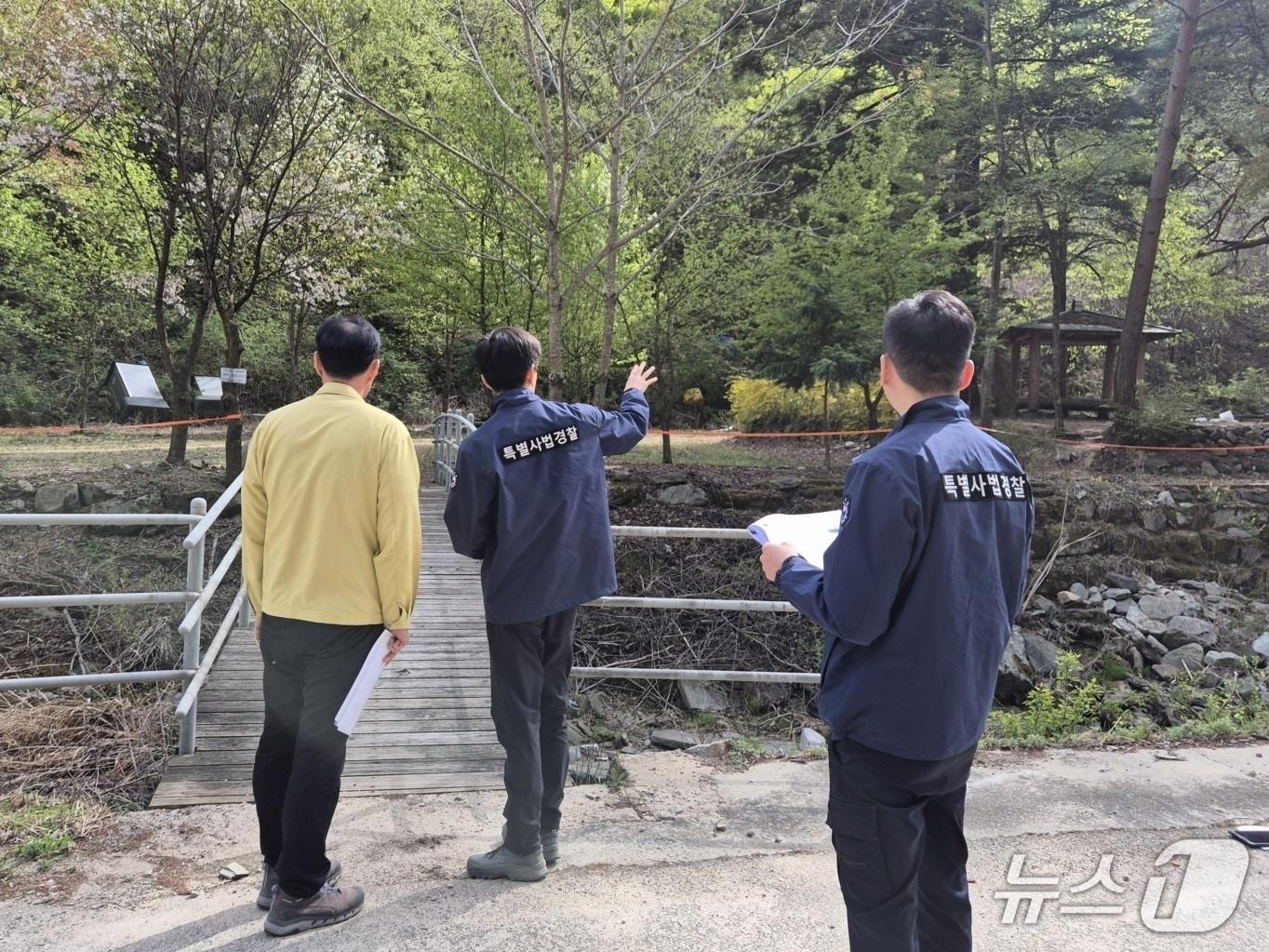 본문 이미지 - 산림청이 돈벌이를 위한 산림 훼손과 약용수 불법 채취에 무관용 원칙을 적용하고 유관기관 합동 수사와 전국 특별단속을 강화한다.(산림청 제공. 재판매 및 DB금지)/뉴스1