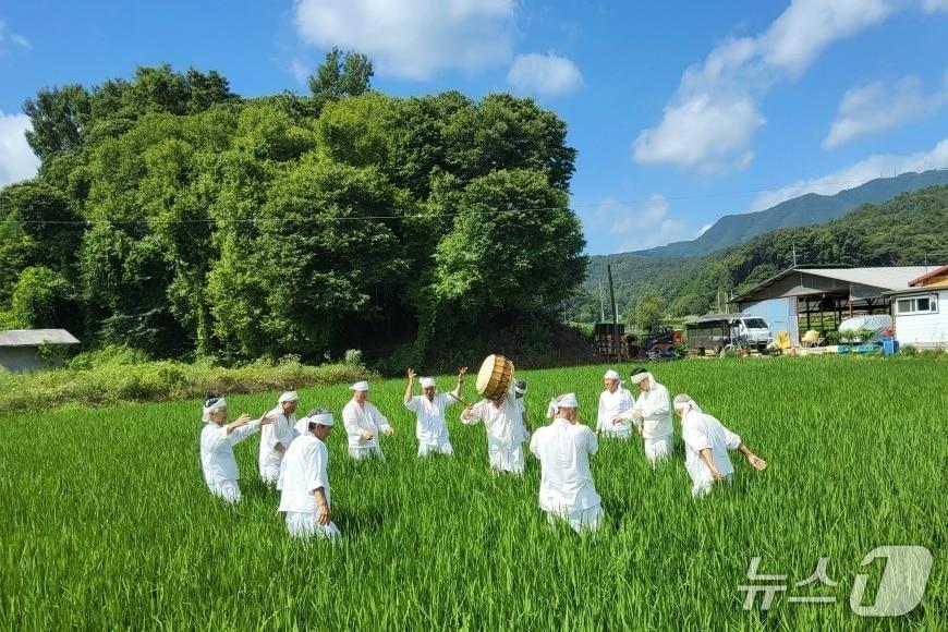 본문 이미지 - 충주 마수리농요 재현행사(충주시 제공. 재판매 및 DB금지)