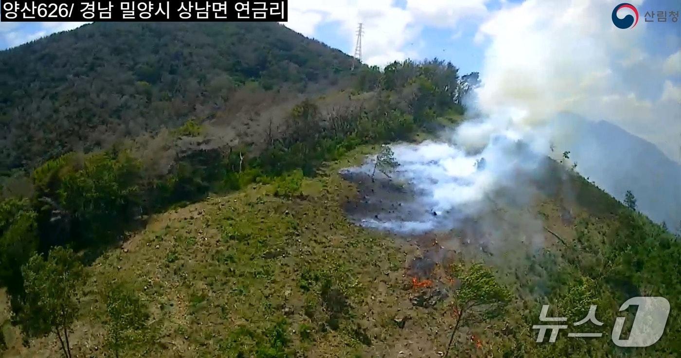 본문 이미지 - 밀양 상남면 연금리 산불 현장.(산림청 제공. 재판매 및 DB금지)