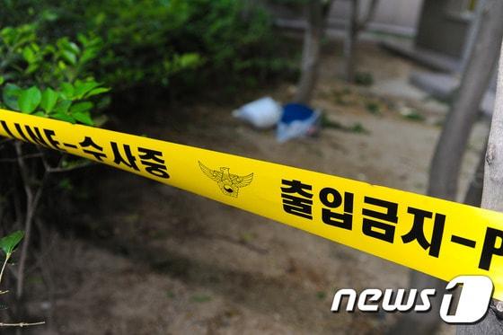 본문 이미지 - 폴리스라인(사진은 기사 내용과 무관함) / 뉴스1 ⓒ News1