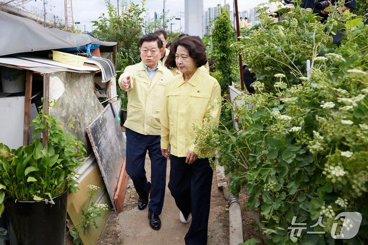본문 이미지 - 14일 오전 추미애 경기도지사와 박승원 광명시장이 함께  광명시 뚝방길 인근 폭염 취약계층 현장방문을 했다.(경기도 제공. 재판매 및 DB금지)