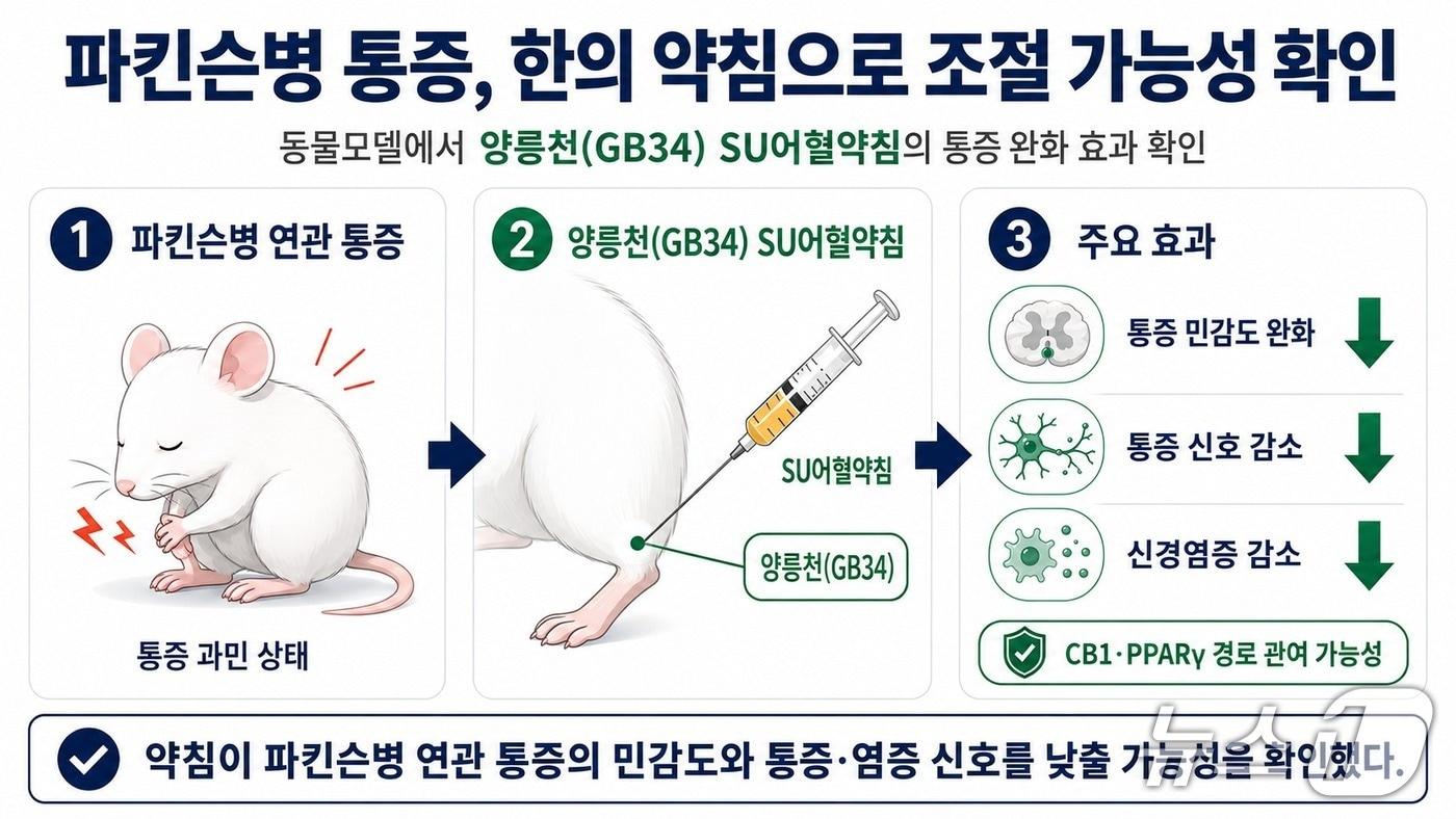 본문 이미지 - 연구 요약 모식도(AI 생성 이미지·한국한의학연구원 제공) /뉴스1