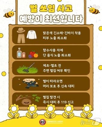 본문 이미지 - 강원도소방본부, 벌 쏘임 사고 당부 포스터.(강원소방본부 제공, 재판매 및 DB금지) 