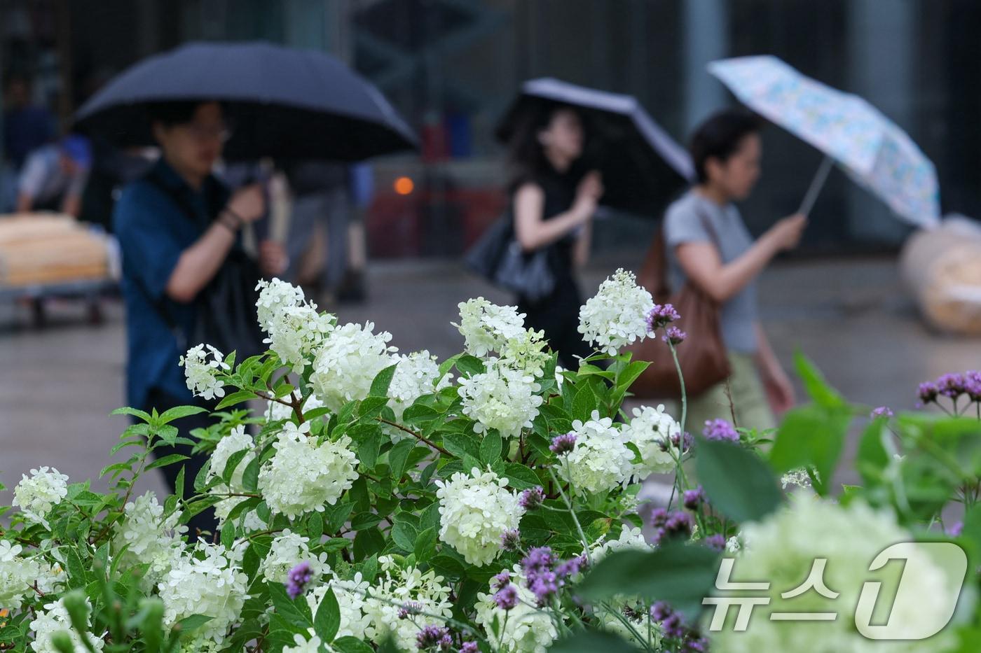 본문 이미지 - 수도권에 100㎜의 비가 예보되는 등 전국에 장맛비가 내리는 15일 오전 서울 종로구 광화문역 인근에서 시민들이 우산을 쓴채 걸어가고 있다. 2026.7.15 ⓒ 뉴스1 안은나 기자