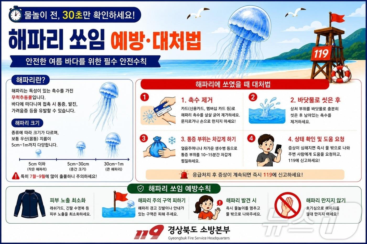 본문 이미지 - 경북도가 여름철 수상·폭염·해파리 사고 예방을 위해 안전지킴이 422명을 배치한다. /뉴스1