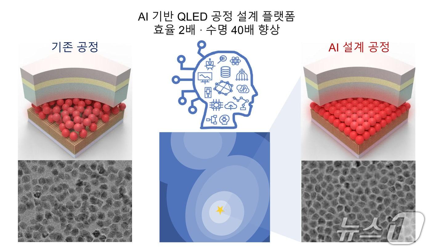 본문 이미지 - AI 기반 QLED 공정 설계 플랫폼 개념도(곽정훈 서울대 교수 제공) /뉴스1