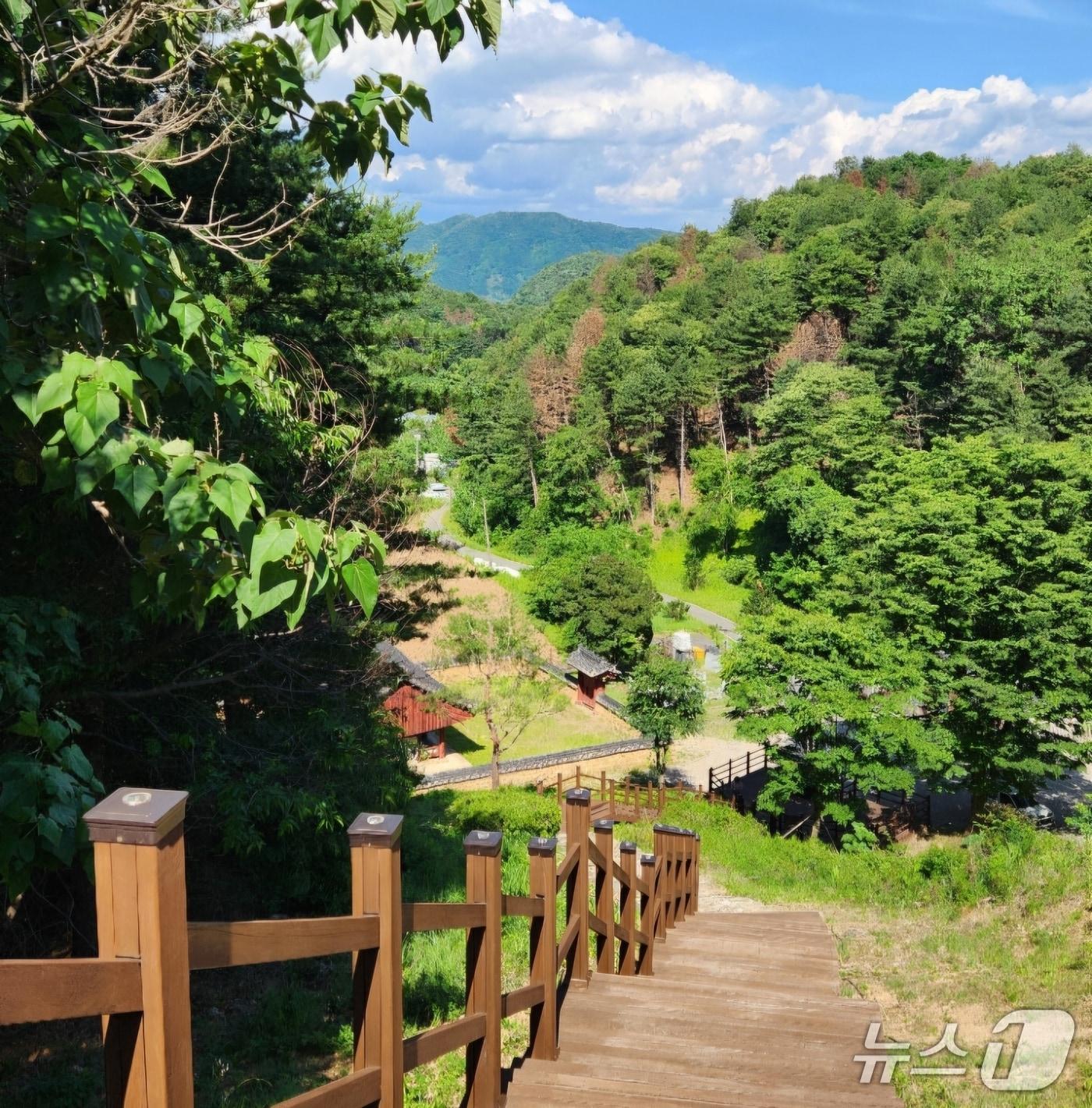 본문 이미지 -  경기 가평군 가평읍 하색리 산책길.(가평군 제공. 재판매 및 DB 금지)/뉴스1