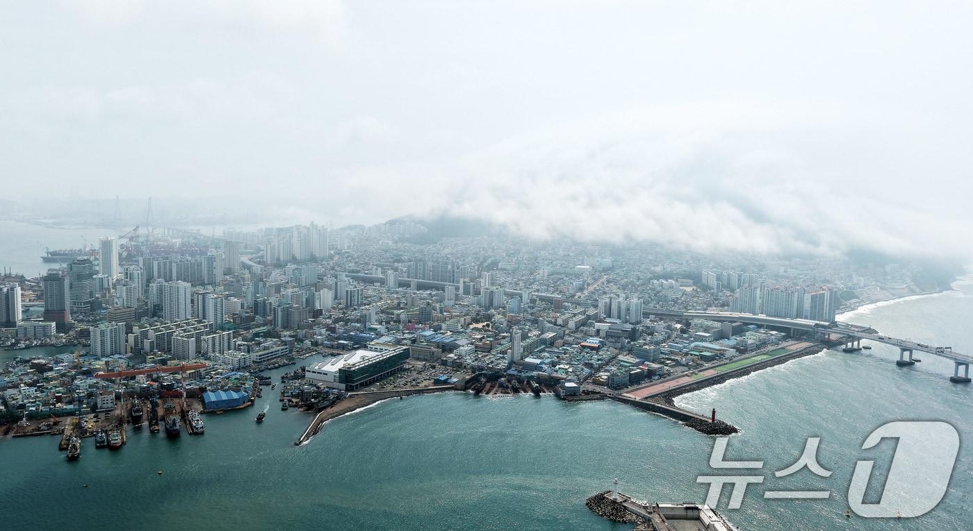 본문 이미지 - 지난 15일 부산 영도구 봉래산 일대에 짙은 해무(바다 안개)가 뒤덮여 이색적인 풍경을 연출하고 있다. 2026.7.15 ⓒ 뉴스1 윤일지 기자
