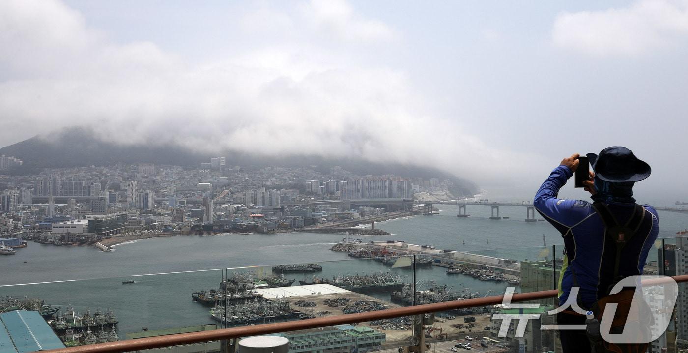 본문 이미지 - 부산 영도구 봉래산 일대에 짙은 해무(바다 안개)가 뒤덮여 이색적인 풍경을 연출하고 있다. 2026.7.15 ⓒ 뉴스1 윤일지 기자