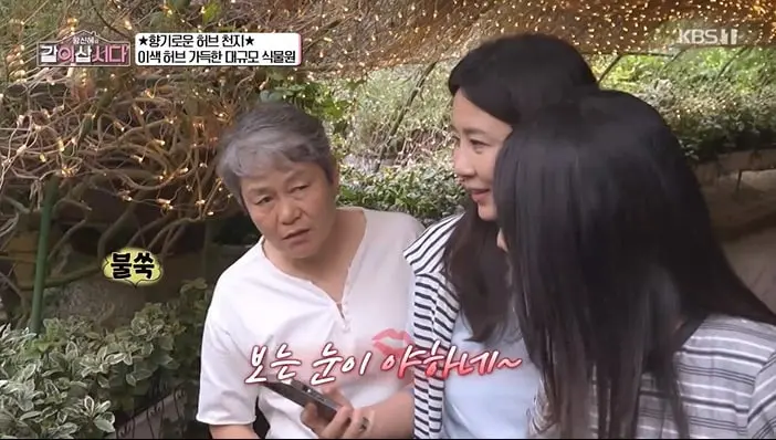 본문 이미지 - KBS 1TV '황신혜의 같이 삽시다' 화면 캡처