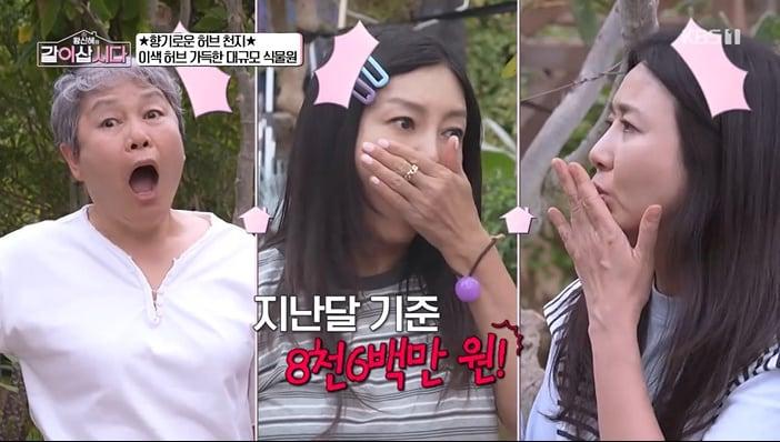 본문 이미지 - KBS 1TV '황신혜의 같이 삽시다' 화면 캡처