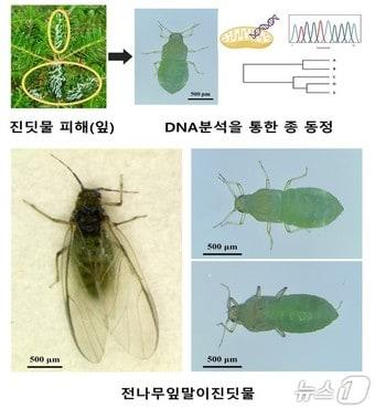 본문 이미지 -  