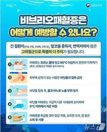 본문 이미지 - 비브리오 패혈증 예방법(제주도청 제공. 재판매 및 DB 금지)/뉴스1 
