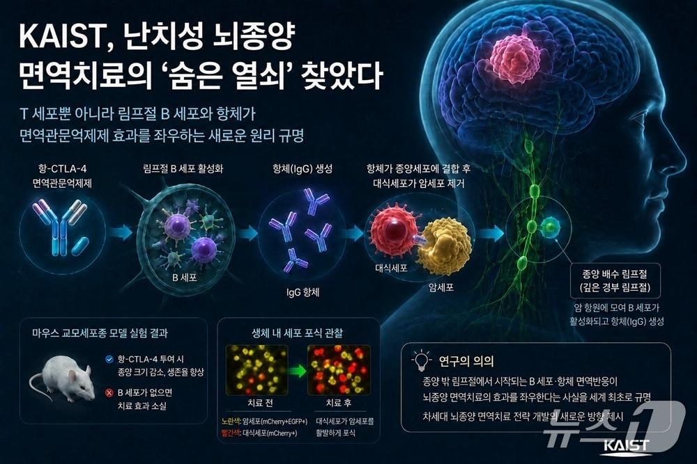 본문 이미지 - 연구 요약 이미지 (AI 생성·KAIST 제공) /뉴스1