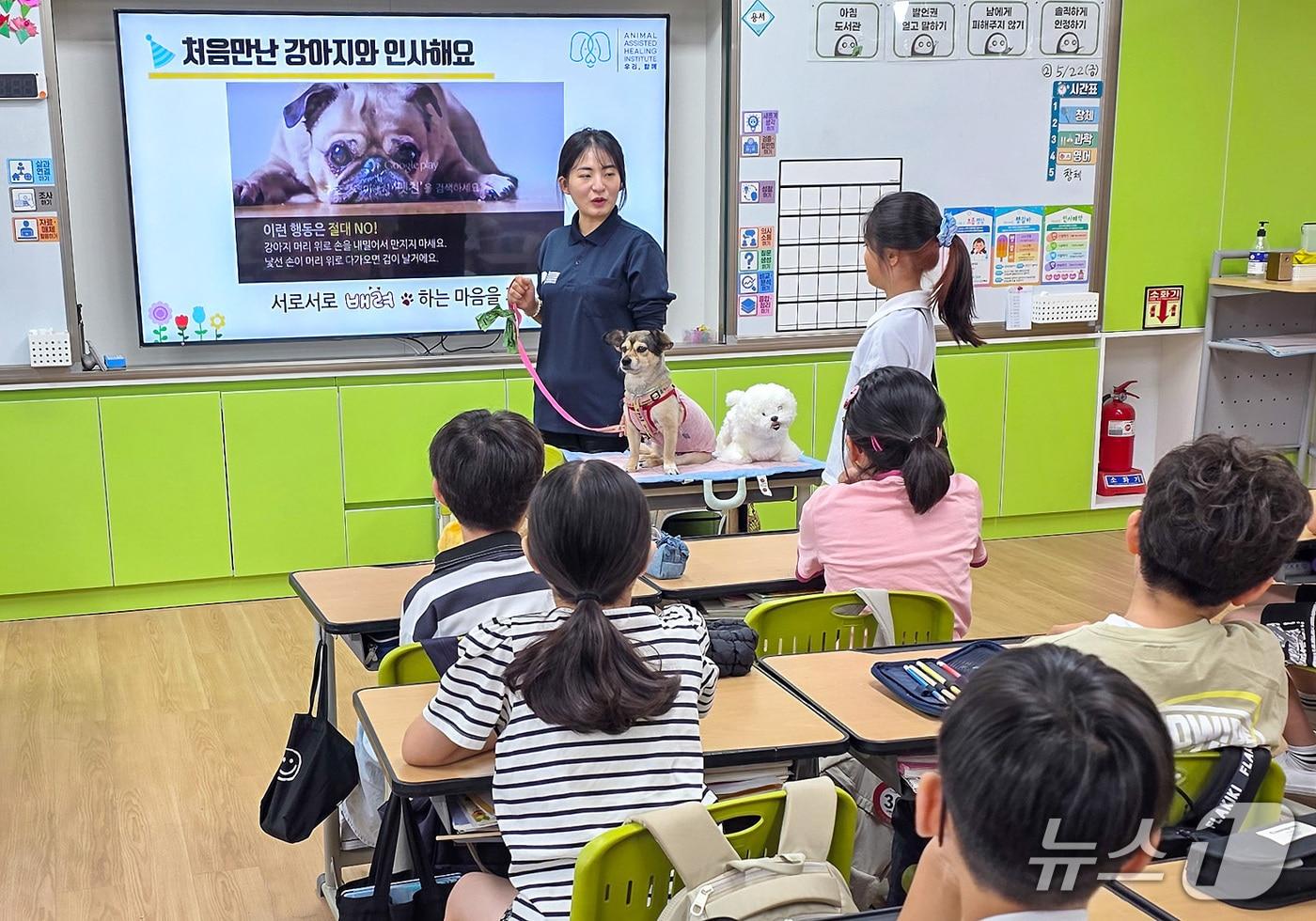 본문 이미지 - 대구보건대가 수성구 지역 초등학생을 대상으로 운영한 '찾아가는 동물사랑 인성교육' 모습. (대구보건대 제공. 재판매 및 DB금지)