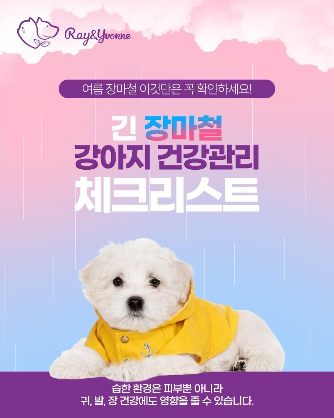 본문 이미지 - 한국반려동물영양연구소는 장마철을 맞아 반려견의 피부 질환 예방을 위한 건강관리 체크리스트와 함께 피부 건강을 위한 영양관리 방법을 소개했다(업체 제공). ⓒ 뉴스1