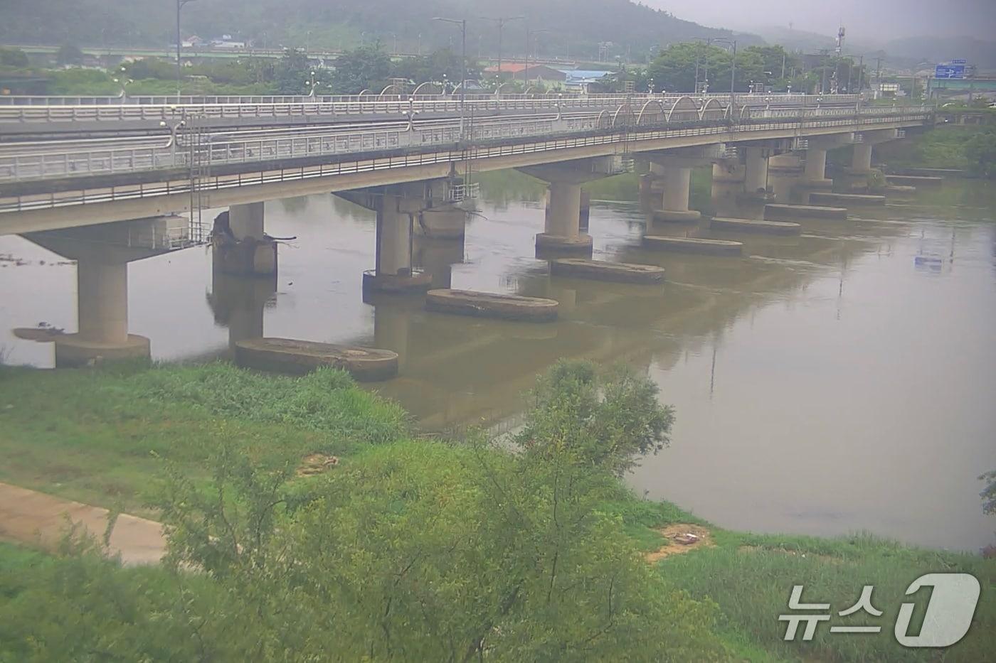 본문 이미지 -  19일 오전 8시 충주 달천 수위(충주 스마트시티 서비스 캡처. 재판매 및 DB금지) 