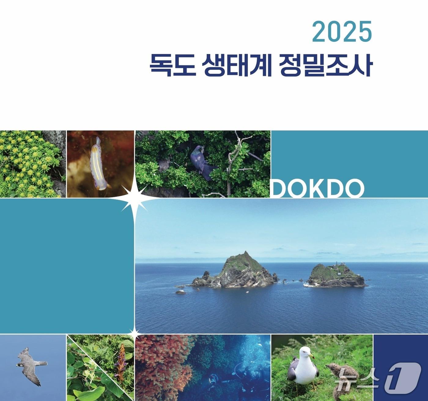 본문 이미지 - 2025 독도 생태계 정밀 조사(국립생태원 제공) ⓒ 뉴스1