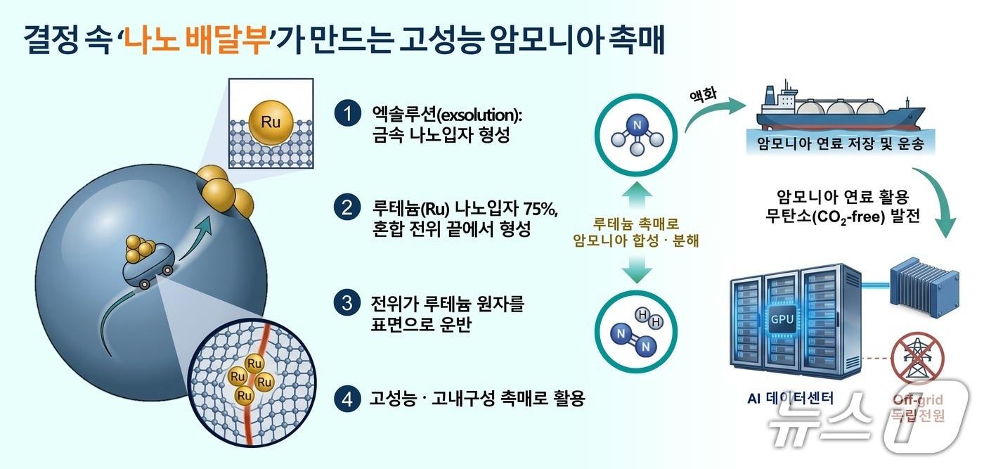 본문 이미지 - 결정 속 ‘나노 배달부’가 만드는 고성능 암모니아 촉매. (서강대학교 김현정 교수 제공. 재판매 및 DB금지) 2026.7.2/뉴스1