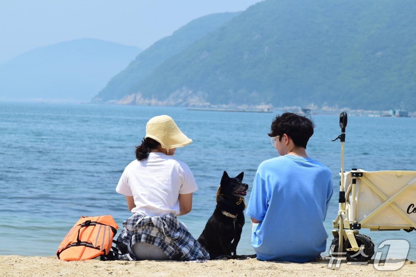 본문 이미지 - 반려동물 동반 해수욕장인 거제 명사해수욕장에서 피서객들이 반려동물과 즐거운 시간을 보내고 있다.(경남도 제공. 재판매 및 DB금지)