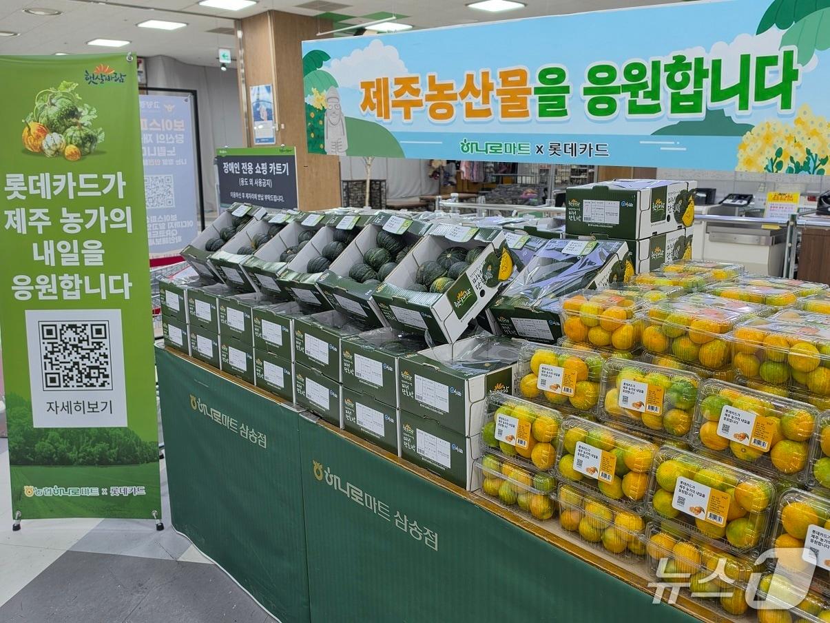본문 이미지 - 제주 하우스 감귤 할인 행사.(제주농협 제공. 재판매 및 DB 금지)