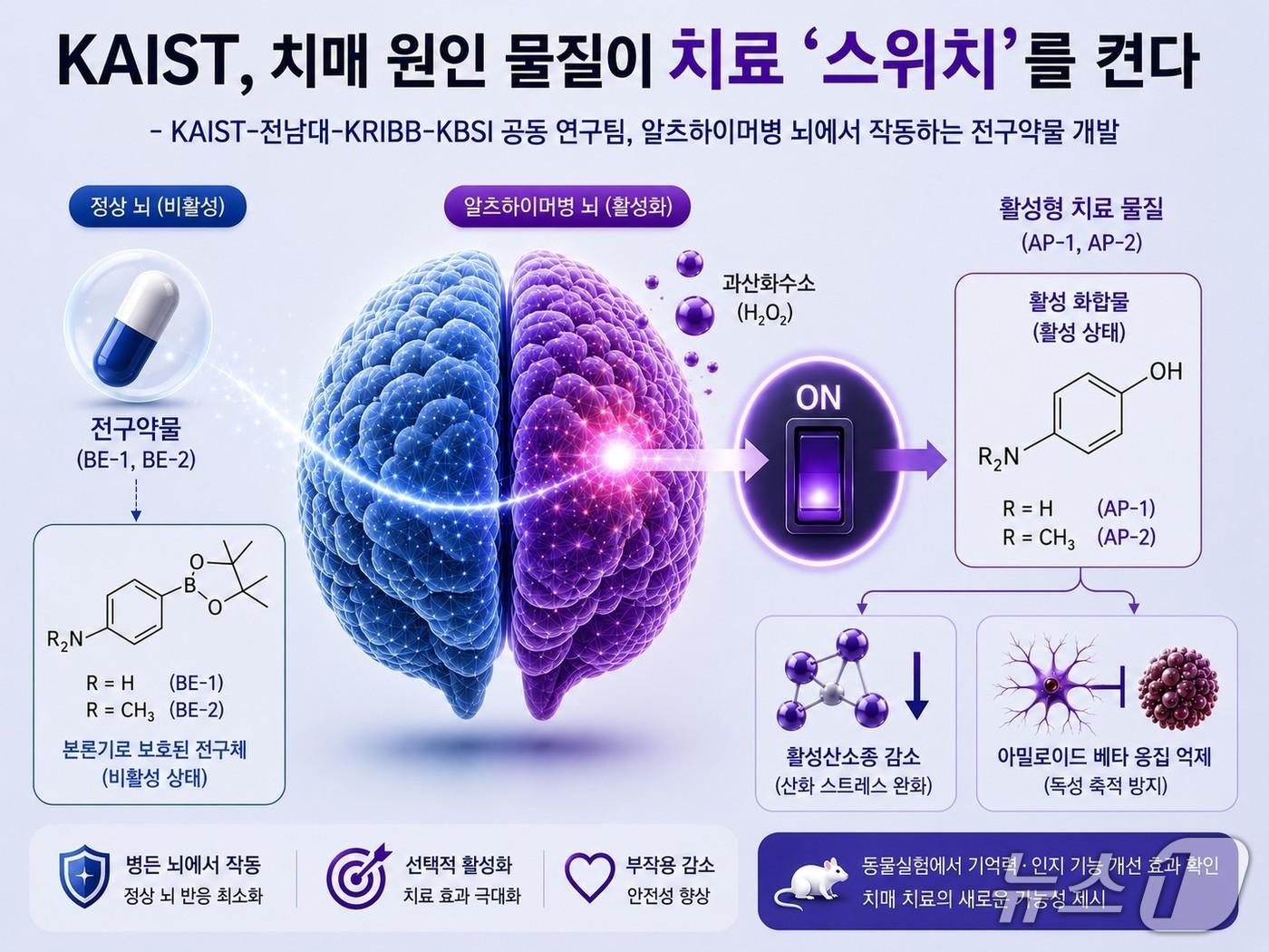 본문 이미지 - 병든 뇌에서만 활성화되는 전구약물 연구 개요(KAIST 제공) /뉴스1