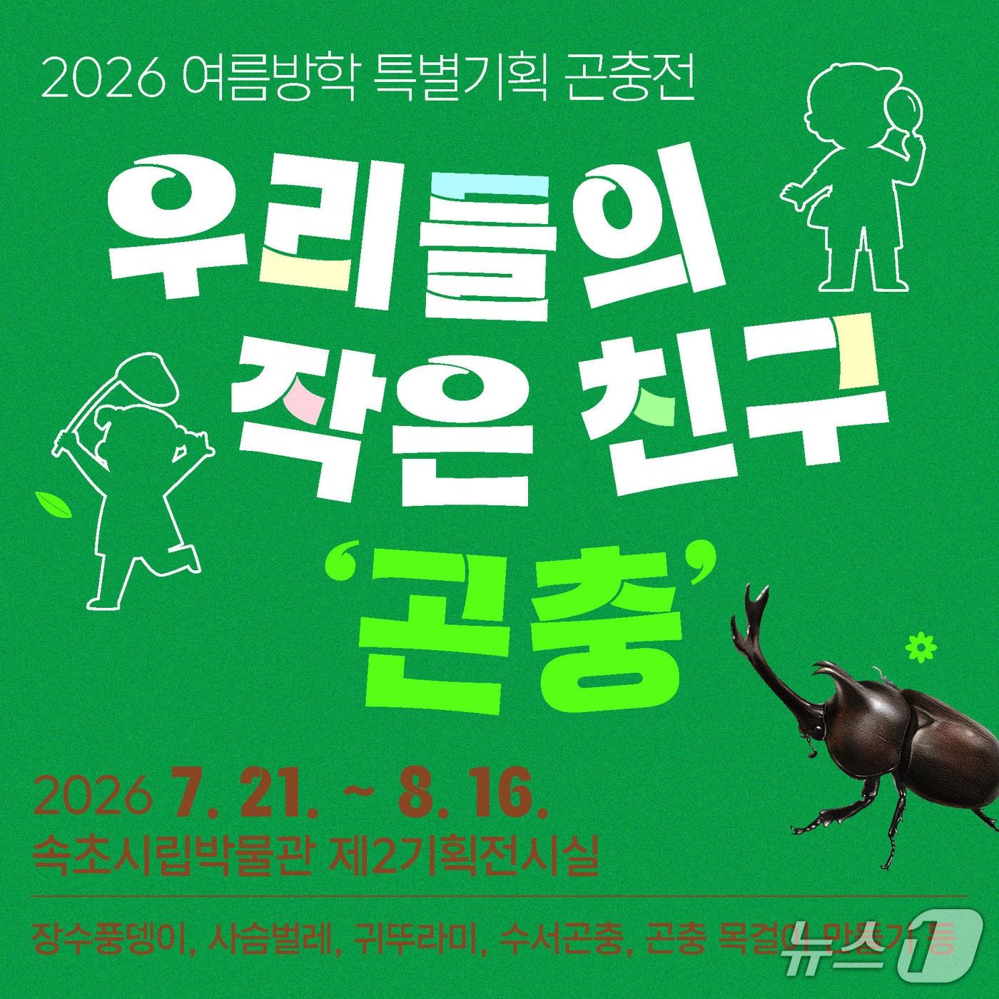 본문 이미지 -  여름방학 특별전 '우리들의 작은 친구, 곤충' 홍보물.(속초시립박물관 제공, 재판매 및 DB 금지) 2026.7.20/뉴스1