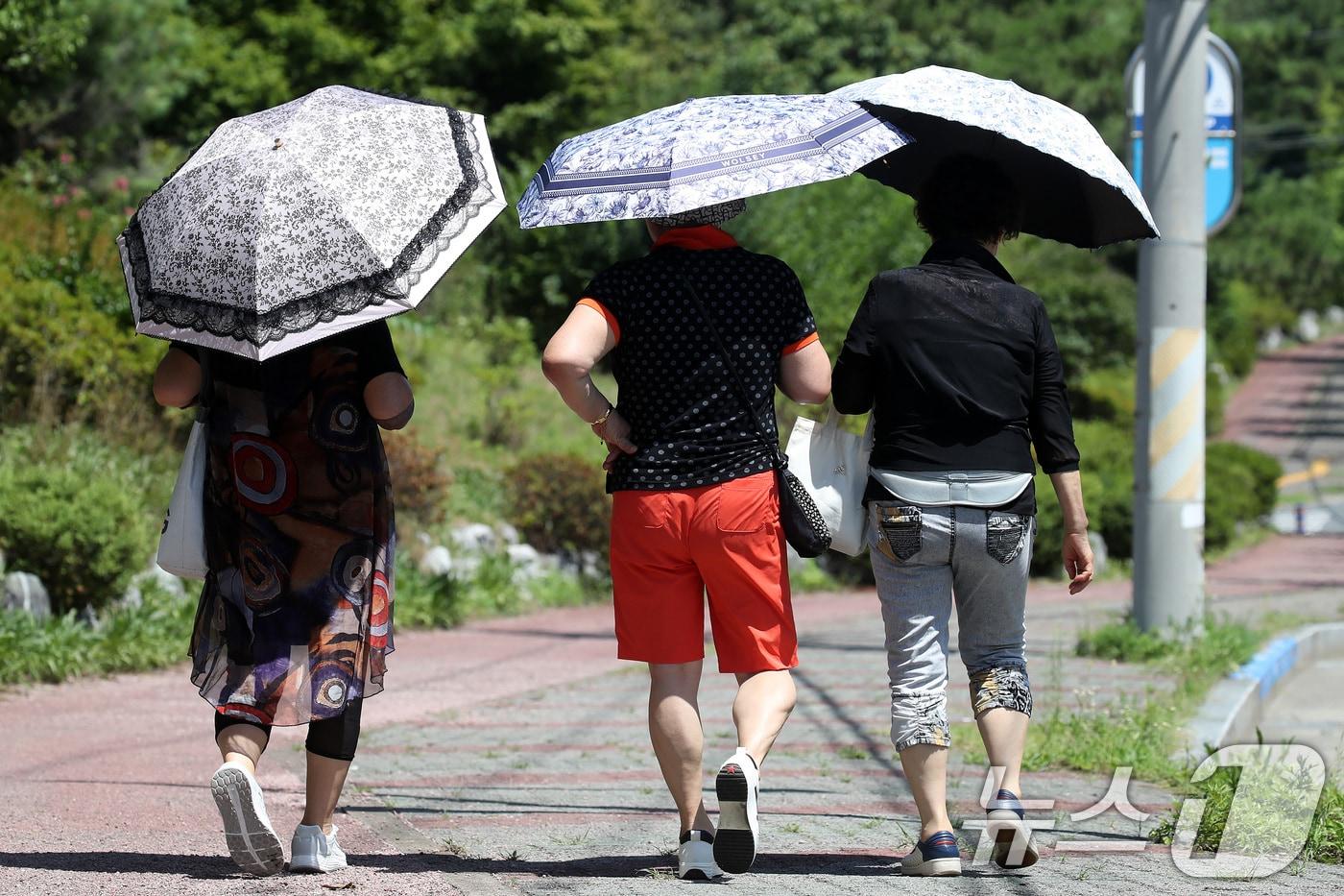 본문 이미지 - 경북 경산 도심에서 시민들이 나란히 양산을 펼쳐 뙤약볕을 가린 채 발걸음을 옮기고 있다. 2026.7.20 ⓒ 뉴스1 공정식 기자