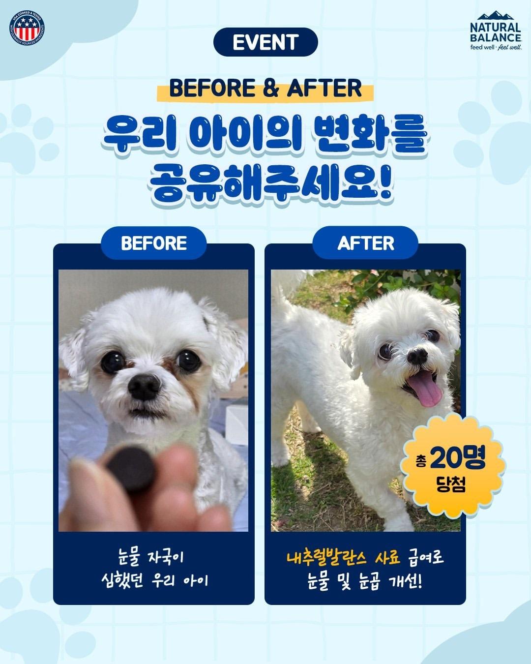 본문 이미지 - 내추럴발란스가 반려견 보호자를 대상으로 사료 급여 후 변화를 공유하는 인증 이벤트를 진행한다(업체 제공). ⓒ 뉴스1