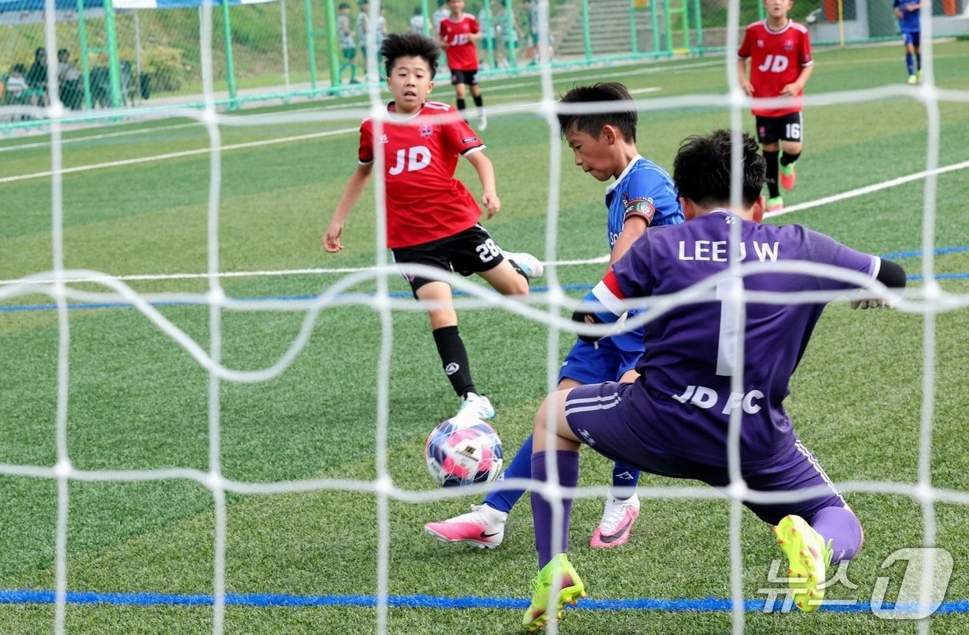 본문 이미지 - 자연울림 괴산 유소년 축구 페스티벌 진행 모습.(괴산군 제공. 재판매 및 DB금지)/뉴스1