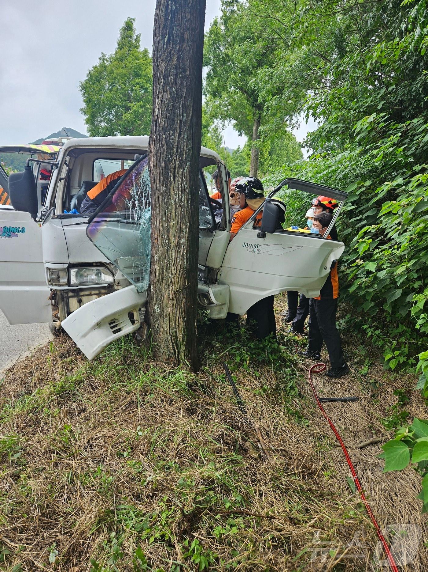본문 이미지 - 21일 오전 11시 20분쯤 전남광주 진도군 지산면 한 도로에서 차량이 도로 옆 나무와 충돌해 소방당국이 구조하고 있다.(전남광주소방본부 제공. 재판매 및 DB금지)