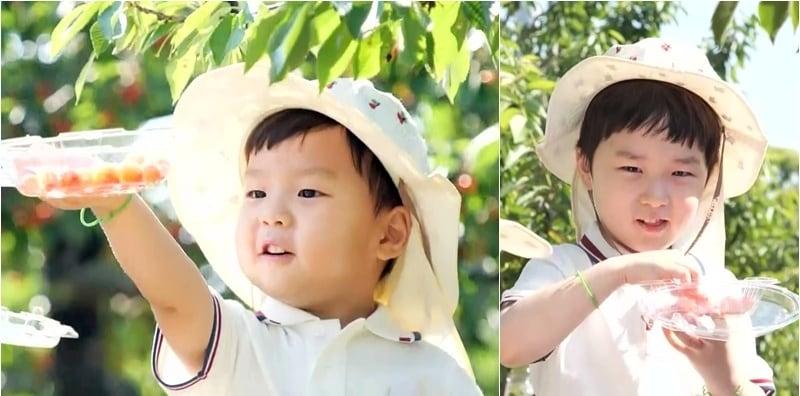 본문 이미지 - KBS 2TV '슈퍼맨이 돌아왔다'