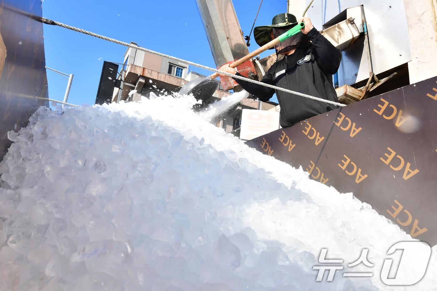 본문 이미지 - 경북 포항시 항구동 제빙공장에서 상인이 죽도시장 어물전에 판매할 얼음을 화물차에 싣고 있다. 포항에는 폭염경보가 발효 중이다.2026.7.22 ⓒ 뉴스1 최창호 기자