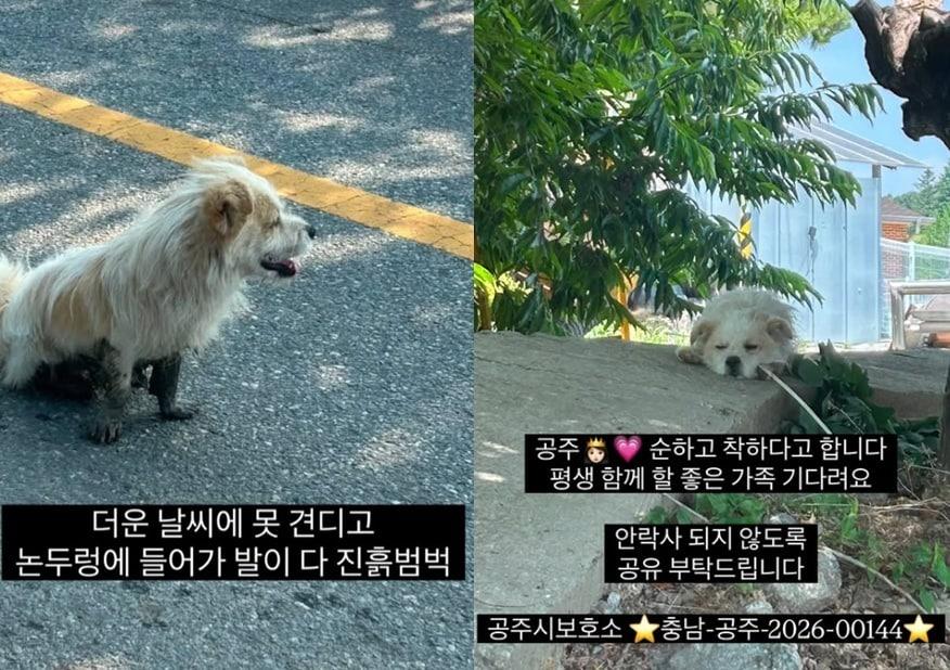 본문 이미지 - 인스타그램 '럭키러버' 갈무리