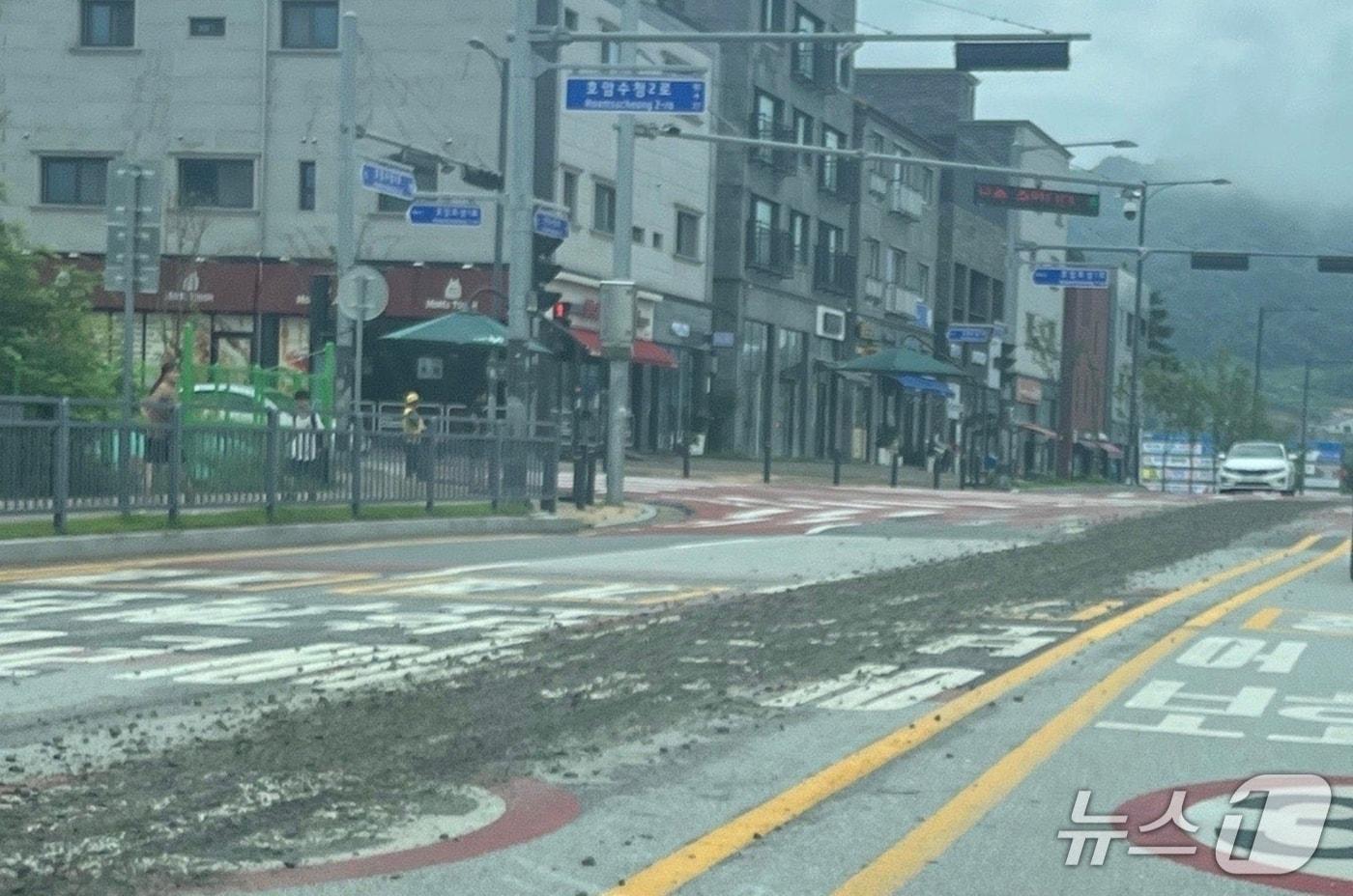 본문 이미지 - 충주시 호암동 남한강초등학교 앞 도로에 떨어진 자갈(충주시닷컴 게시물 캡처. 재판매 및 DB금지)