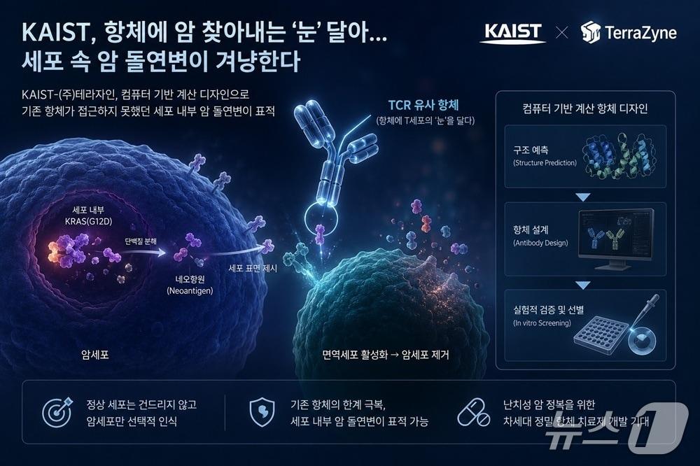본문 이미지 - 암 유발 돌연변이 표적 항체 연구 이미지(AI 생성·KAIST 제공) /뉴스1