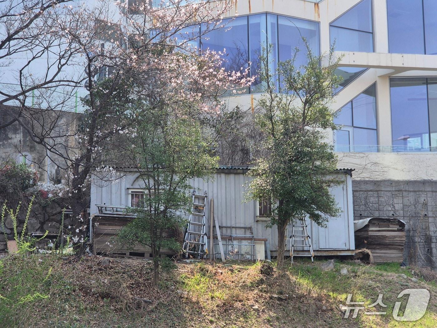 본문 이미지 - 울산 남구 여천천의 불법 시설물.(울산 남구 제공. 재판매 및 DB금지)/뉴스1