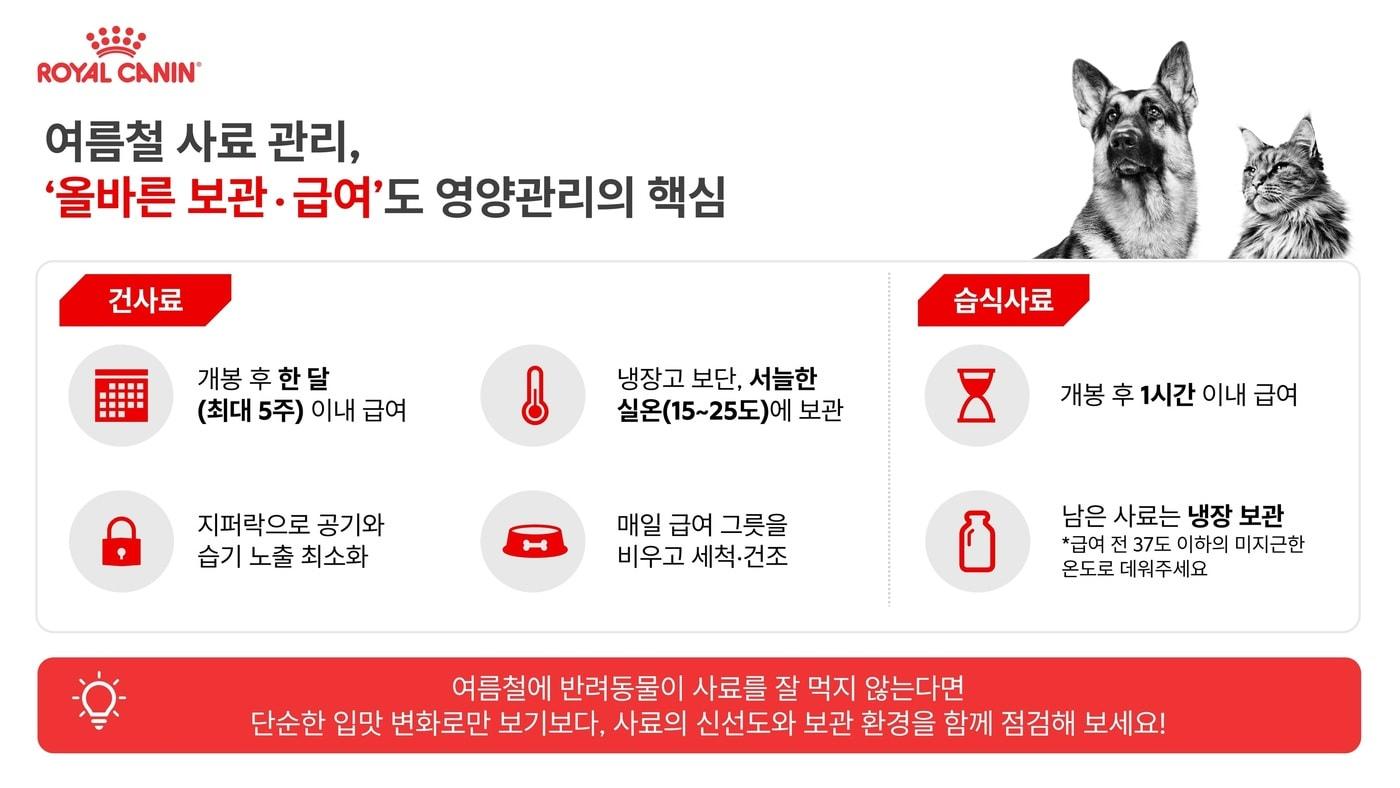 본문 이미지 - 로얄캐닌은 여름철 반려동물의 건강한 식생활을 위한 사료 보관 및 급여 요령을 소개했다(업체 제공). ⓒ 뉴스1