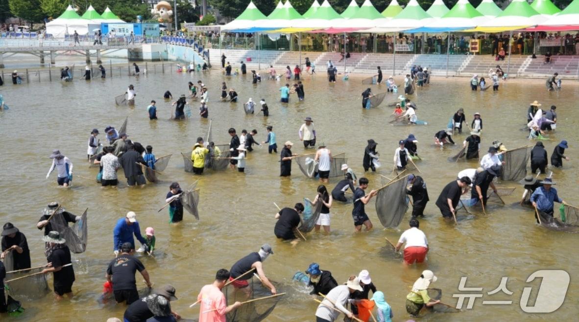 본문 이미지 - 경북 봉화 은어축제에 참가한 관광객들이 내성천에서 반두를 이용해 은어를 잡고 있다.(경북도 제공, 재판매 및 DB 금지)