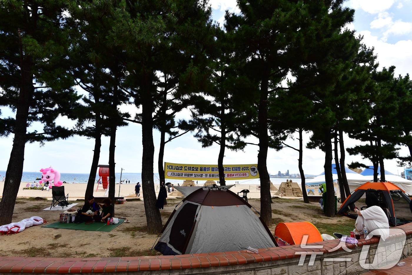 본문 이미지 - 26일 경북 포항시 북구 영일대해수욕장에서 피서객들이 해송 그늘 아래에서 뜨거운 태양을 피하고 있다. ⓒ 뉴스1 최창호 기자