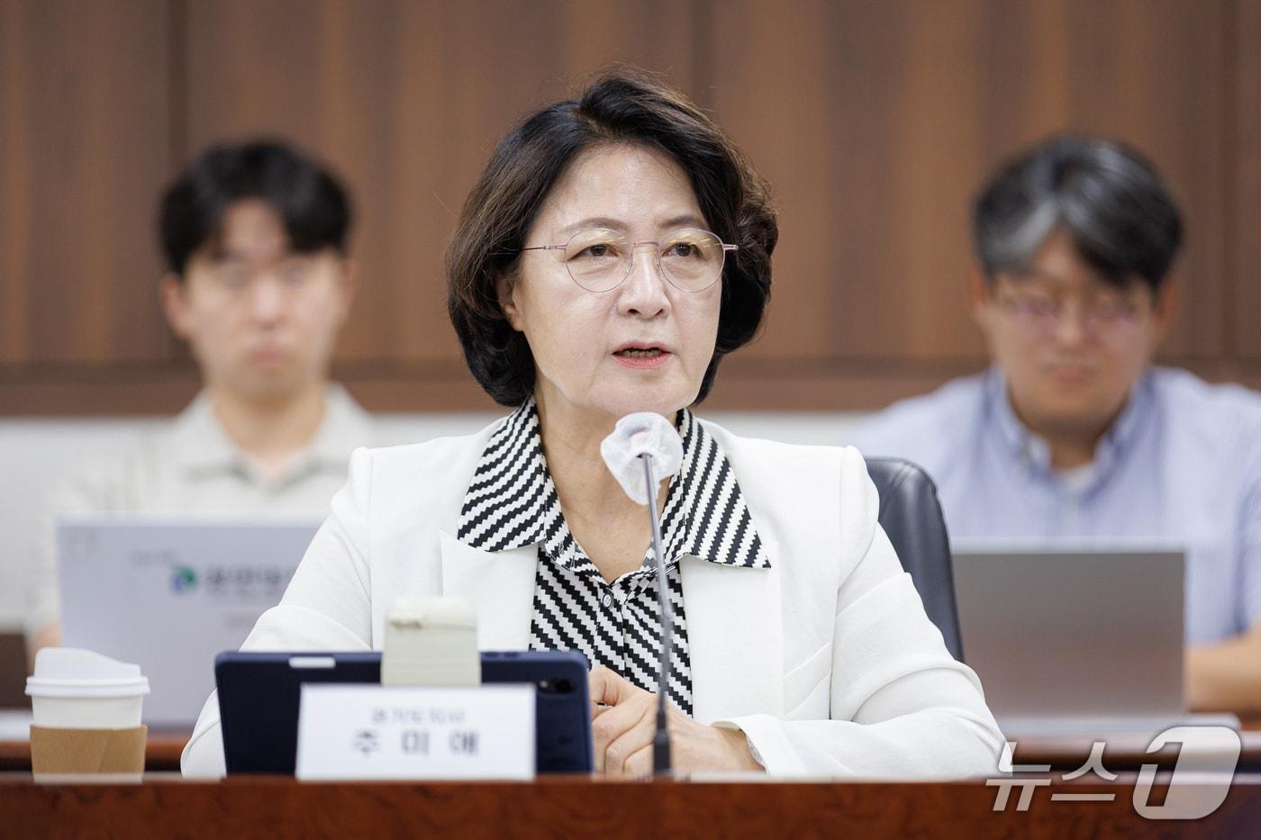 본문 이미지 - 27일 오전 통일부 대회의실에서 열린 제2차 접경지역 평화안전 연석회의에 참석한 추미애 경기도지사가 인사말을 하고있다.(경기도 제공. 재판매 및 DB금지)