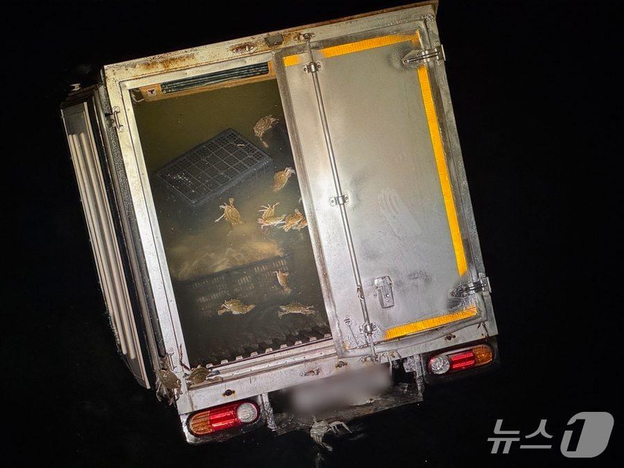 본문 이미지 - 불법 조업한 꽃게를 싣고 유통하려던 1톤급 냉동탑차가 해상으로 추락했다.(군산해경 제공. 재판매 및 DB금지)