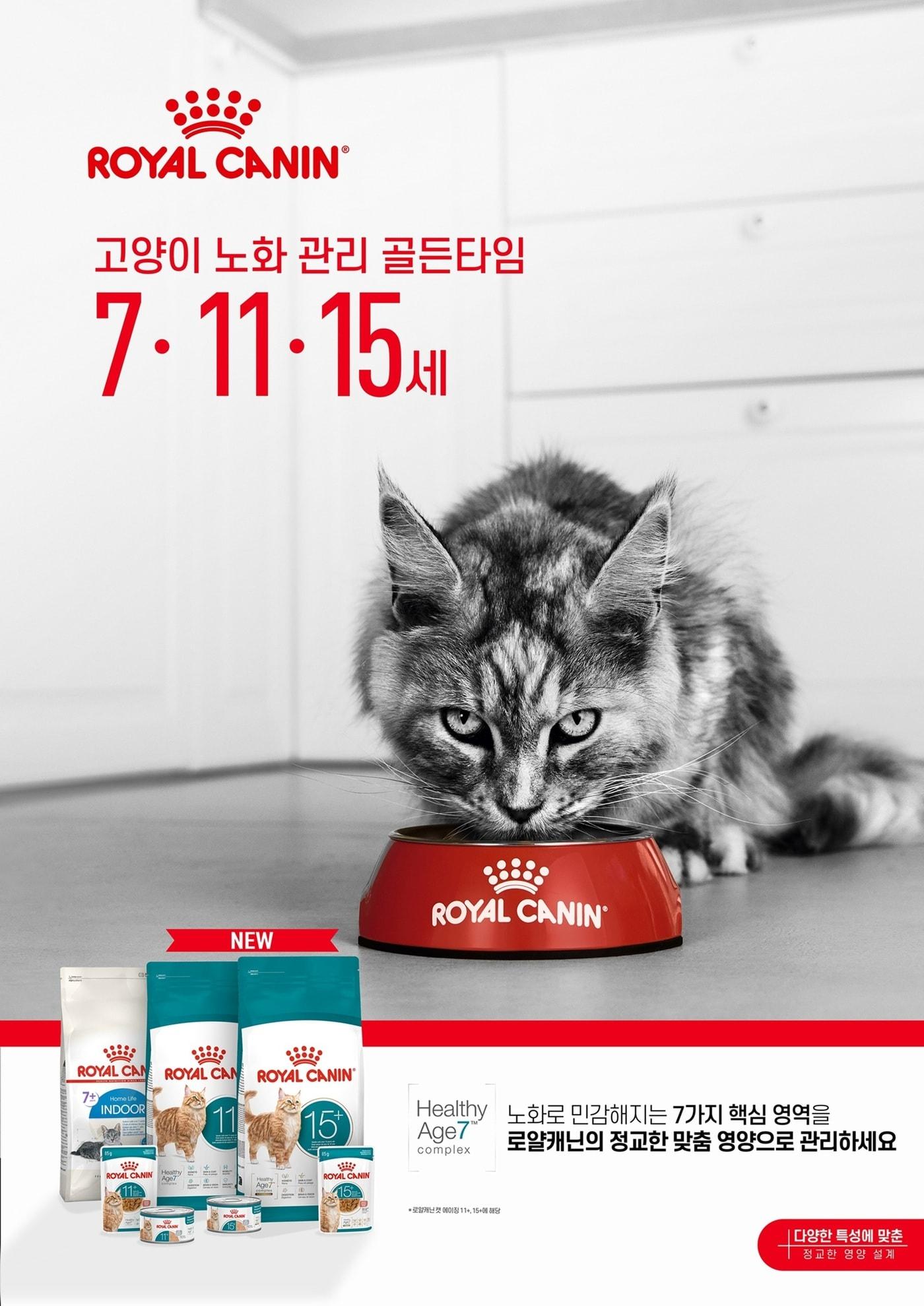 본문 이미지 - 반려묘 에이징 캠페인(로얄캐닌 제공) ⓒ 뉴스1