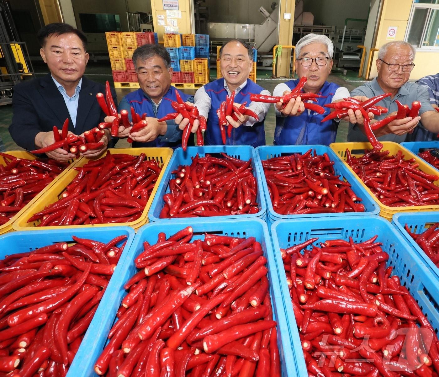 본문 이미지 - 한득수 임실군수(가운데)가 27일 전북 임실군 성수면 임실고추앤농산물가공판매장에서 관계자들과 임실홍고추 수매 현장을 둘러보고 있다. (임실군청 제공. 재판매 및 DB 금지)