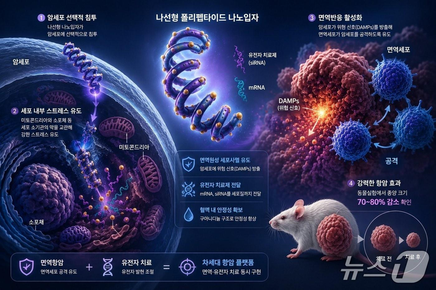 본문 이미지 - 나선형 폴리펩타이드 나노입자 플랫폼 연구 이미지(AI 생성·KAIST 제공) /뉴스1