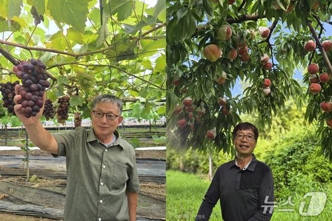 본문 이미지 - 옥천군 올해 포도왕 곽동덕씨(왼쪽)와 복숭아왕 강호봉씨(옥천군 제공. 재판매 및 DB금지)/뉴스1 