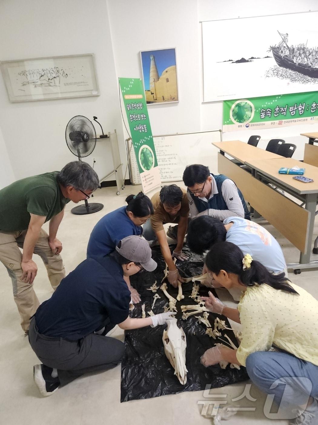 본문 이미지 - (사)숲살림협회가 지난 26일 (재)아시아인문재단 1층 강의실에서 '숲속 흔적 탐험-흔적으로 보는 야생동물' 프로젝트를 진행하고 있다. (아시아인문재단 제공. 재판매 및 DB금지) ⓒ 뉴스1 